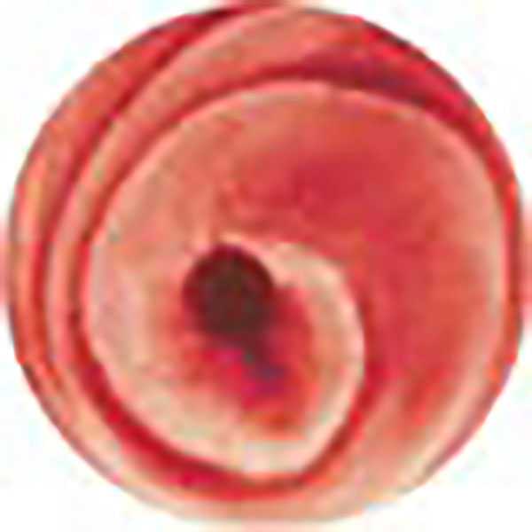 Potterycrafts Iron Red Leaded Liquid On-Glaze