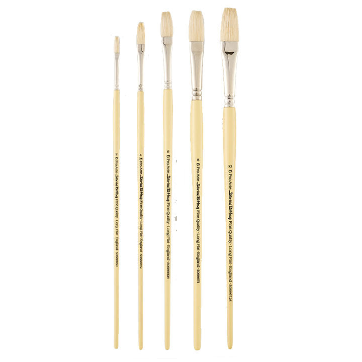 Pro Arte Series B Hogs Hair Long Flat Brush