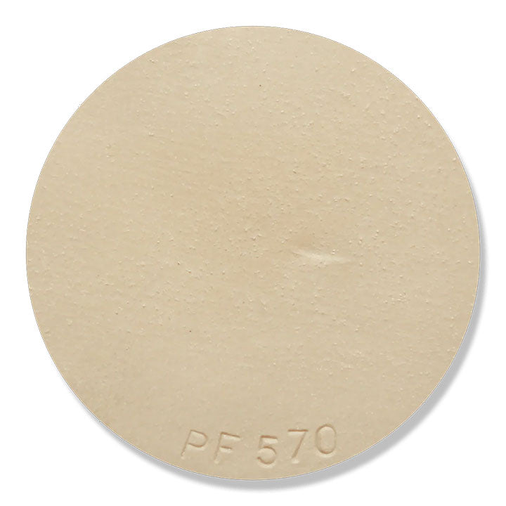 Professional PF570 White Stoneware Grogged Clay