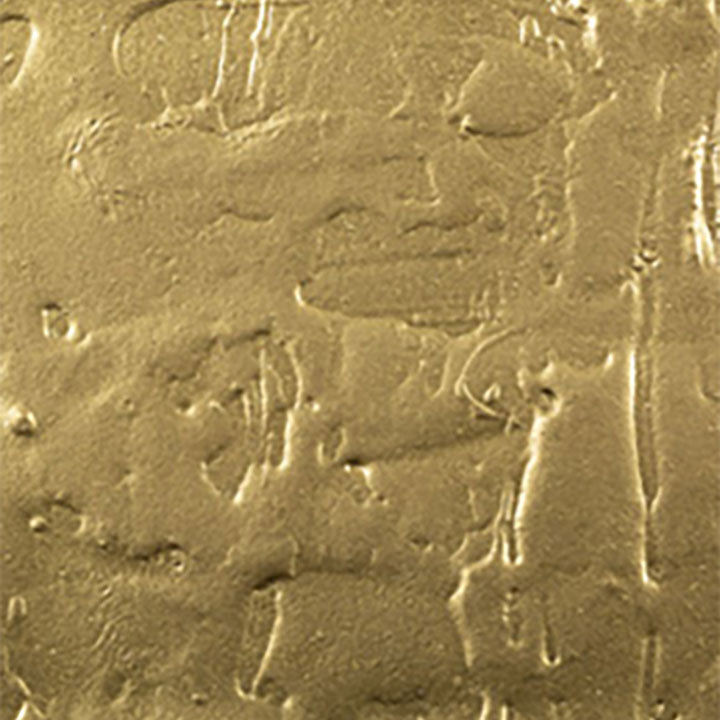 Sculpt Nouveau C Gold Metal Coating