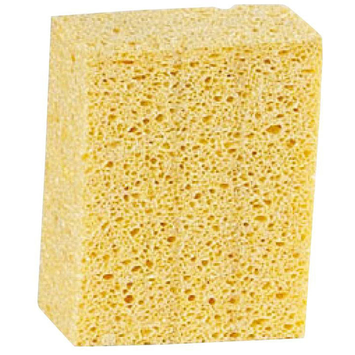 Sydney Heath Bench Sponge