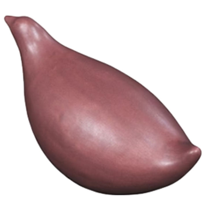Amaco Low Fire Matt Red Brown Brush-on Glaze