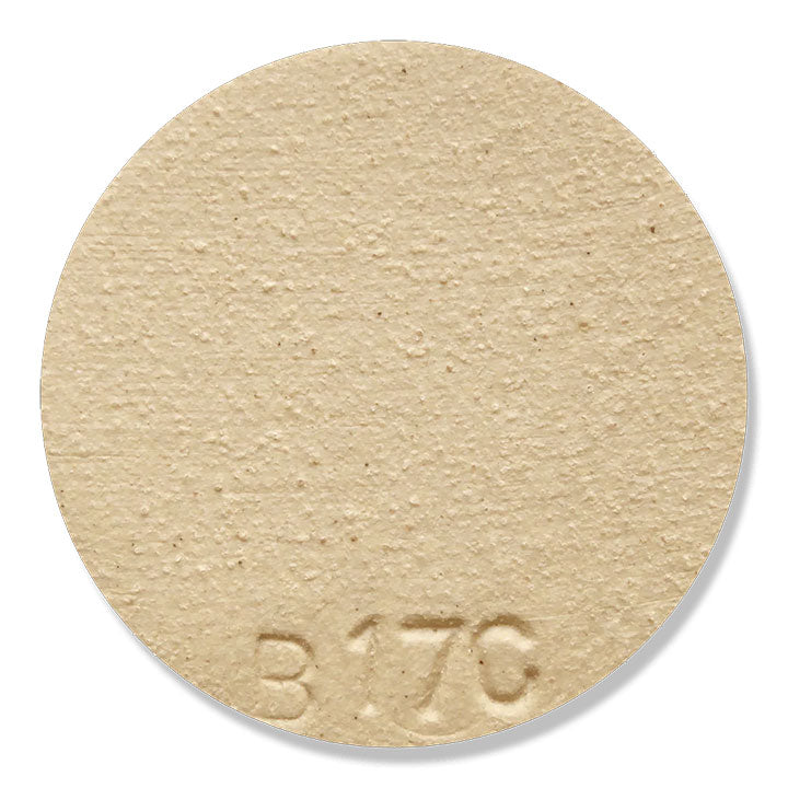 B17C Smooth Stoneware Casting Slip