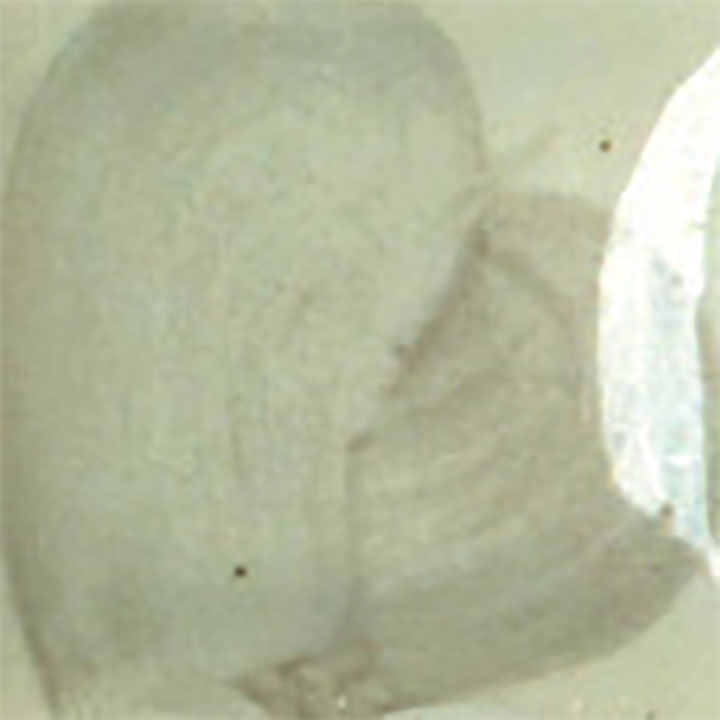Duncan E-Z Stroke True Taupe Liquid Underglaze