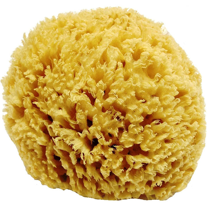 Hygan Natural Sponge