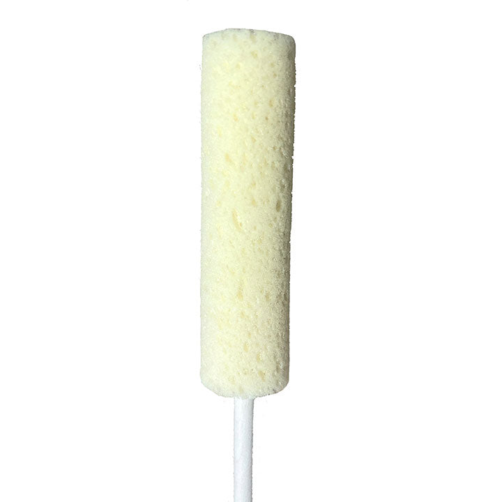 Potterycrafts Sponge on Stick