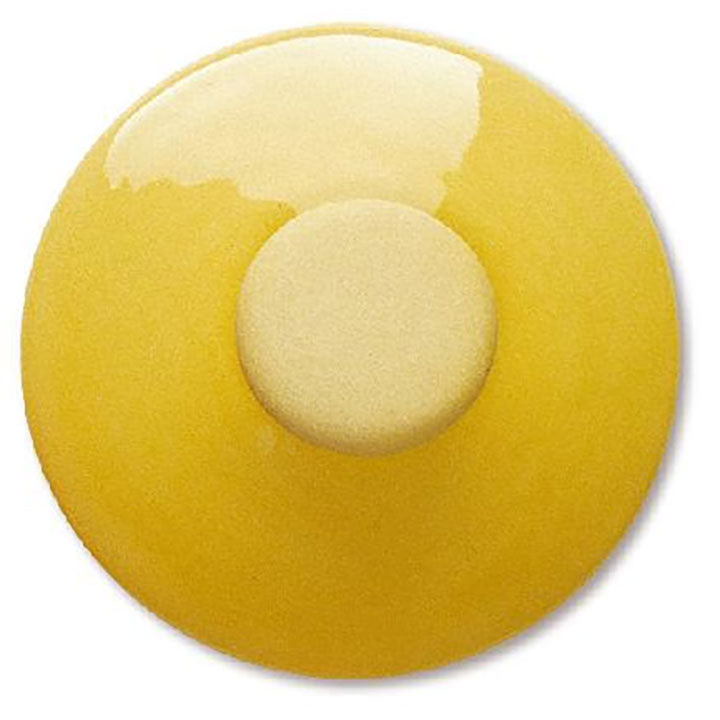 Terracolor Yellow Brush-on Decorating Slip