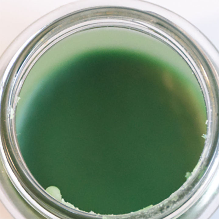 Tiranti Green Wax Pigment